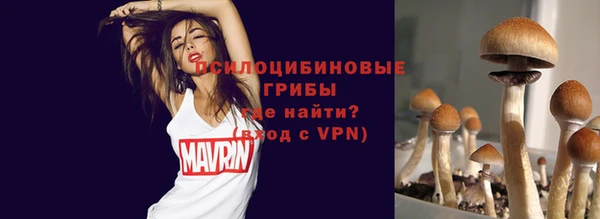 гашик Лихославль