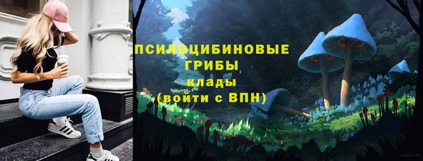 гашик Лихославль