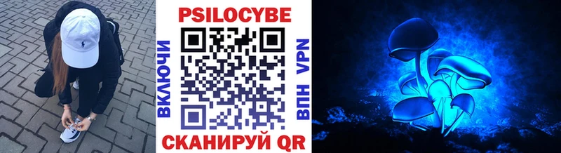 Купить где  Соль-Илецк  Галлюциногенные грибы GOLDEN TEACHER 